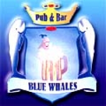 Le Blue Whales. Pub, Brasserie American Bistrot. Vieux-Nice