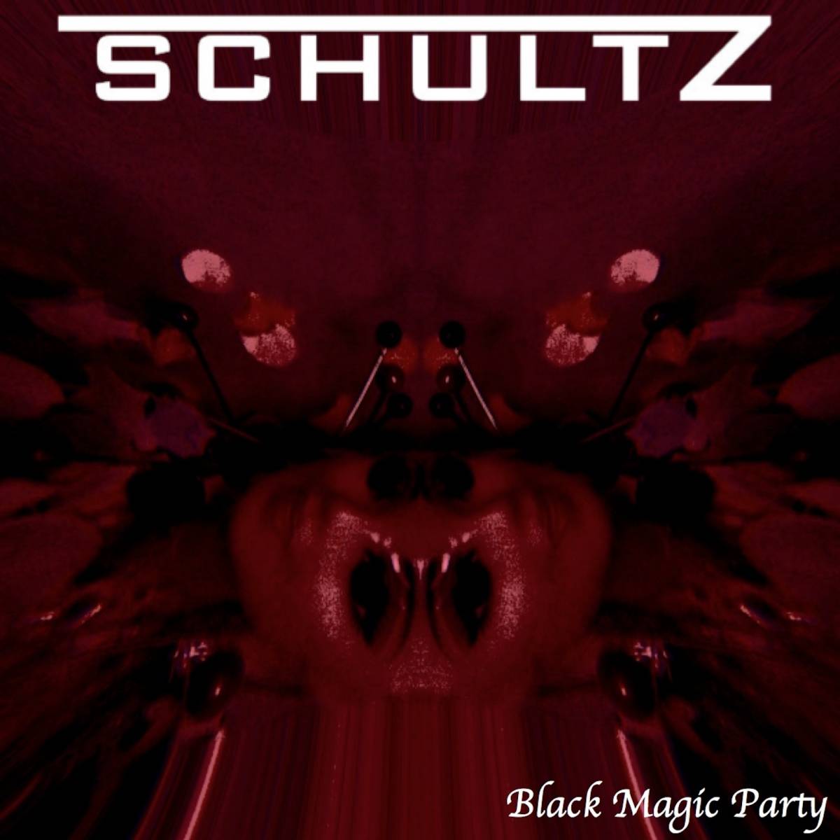 Black Magic Party. Sortie du nouvel album de Schultz !